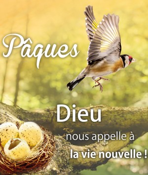 PÂQUES - Dieu nous appelle à la vie nouvelle